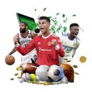 <b>即时赔率变化解析，帮助玩家掌握投注先机</b>